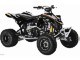 CAN-AM DS 450 EFI X 