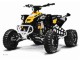 CAN-AM   DS 450 EFi X MX 