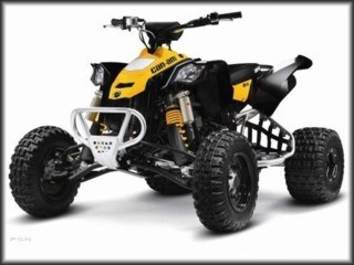 CAN-AM DS 450 EFi X MX