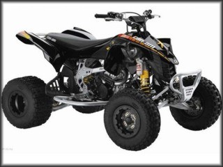 CAN-AM DS 450 EFI X