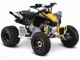 CAN-AM   DS 90 X