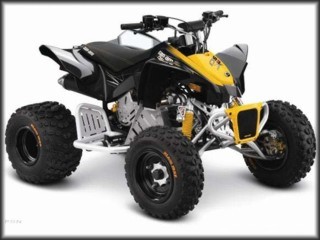 CAN-AM DS 90 X